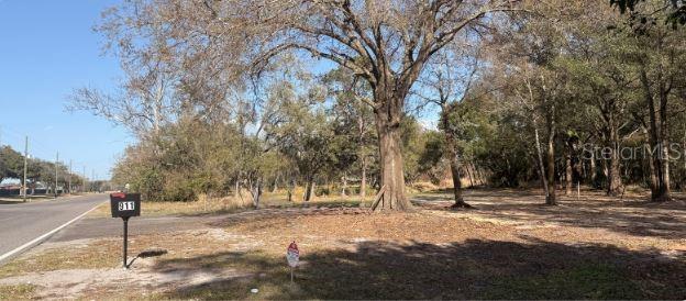 911 MARSHALL FARMS RD, OCOEE, FL, 34761
