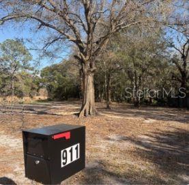 911 MARSHALL FARMS RD, OCOEE, FL, 34761