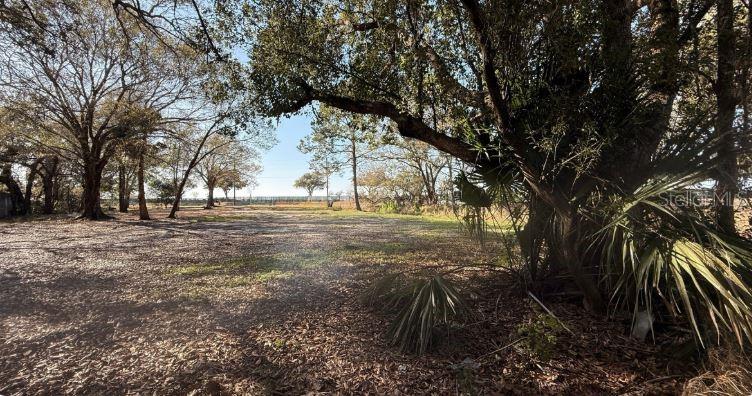 911 MARSHALL FARMS RD, OCOEE, FL, 34761