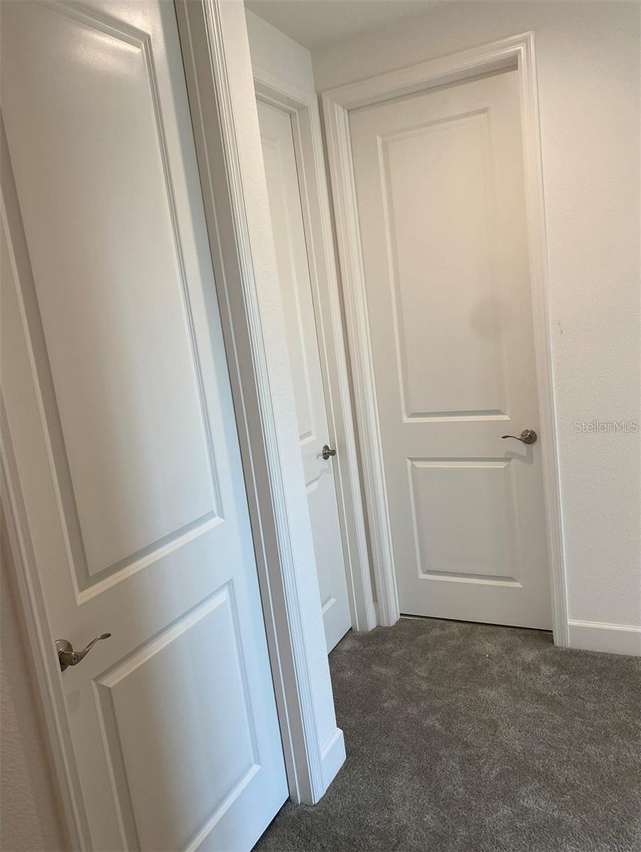 3101 HOLLOW HICKORY PL, WESLEY CHAPEL, FL, 33543