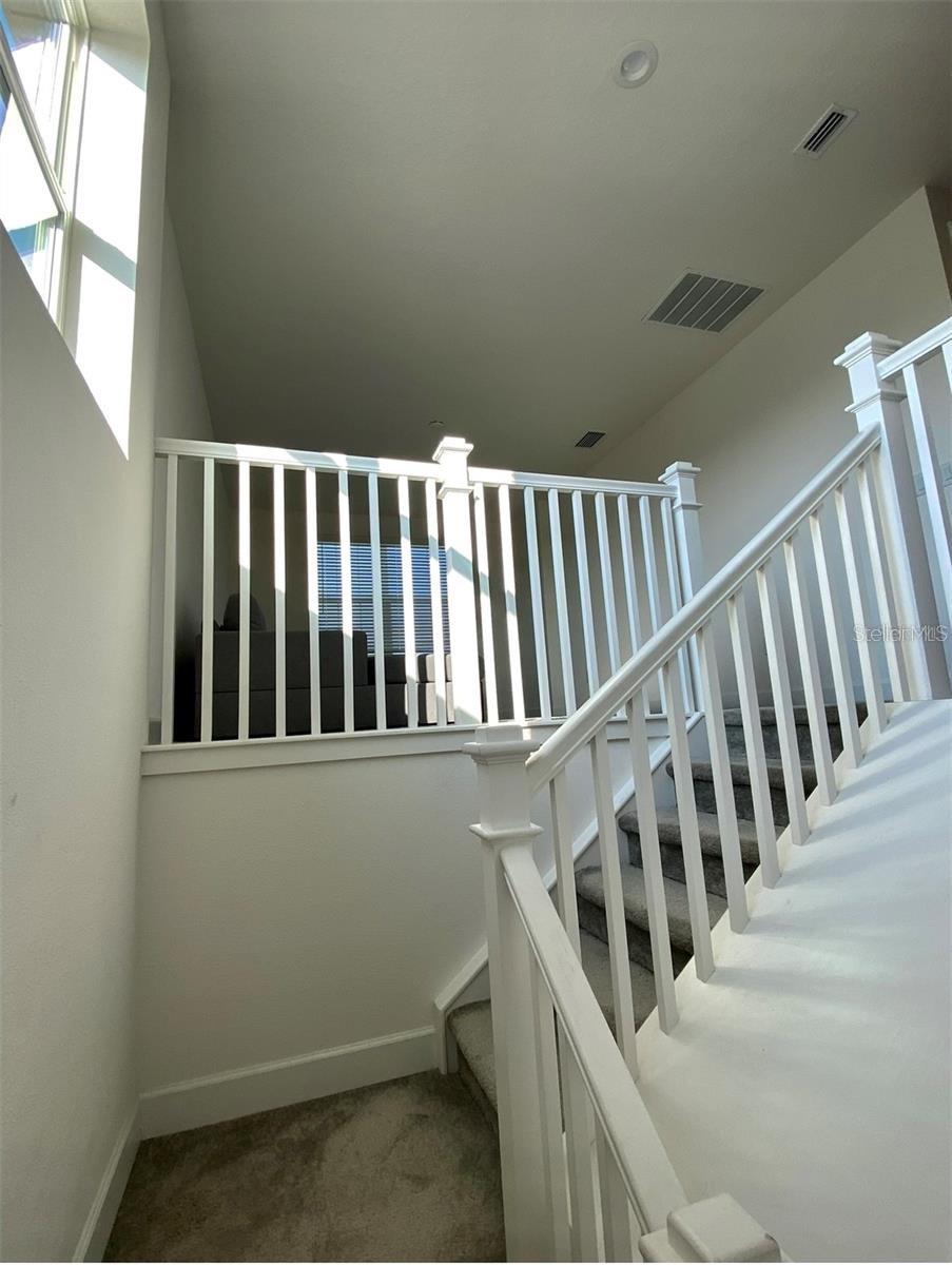 3101 HOLLOW HICKORY PL, WESLEY CHAPEL, FL, 33543