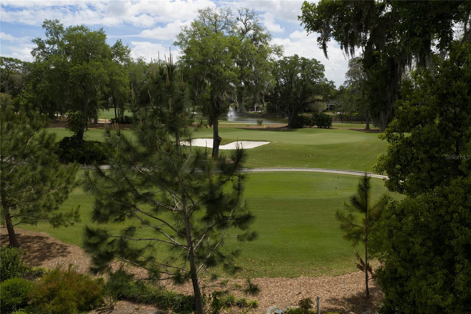 16912 VILLALAGOS DE AVILA, LUTZ, FL, 33548