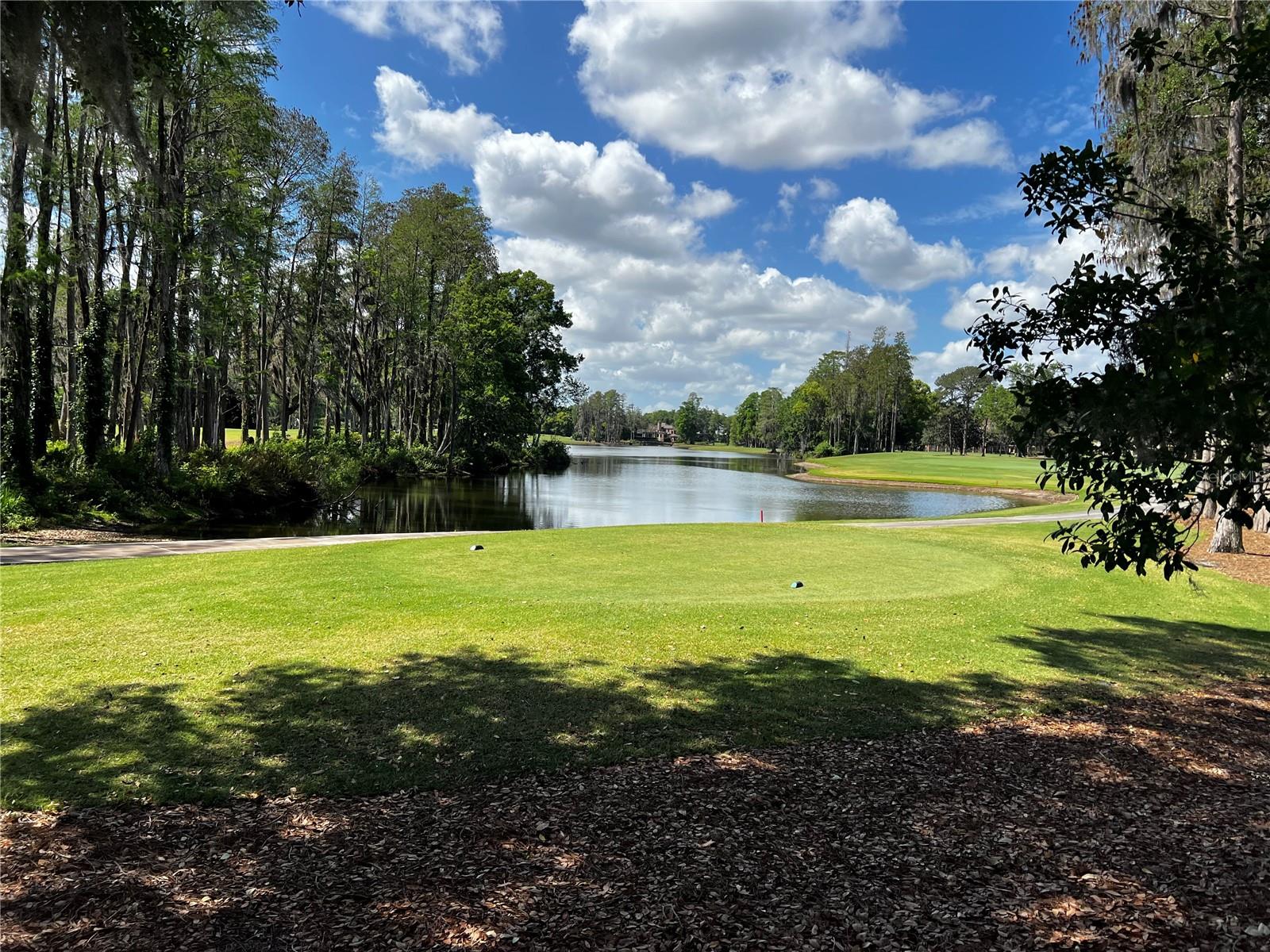 16912 VILLALAGOS DE AVILA, LUTZ, FL, 33548