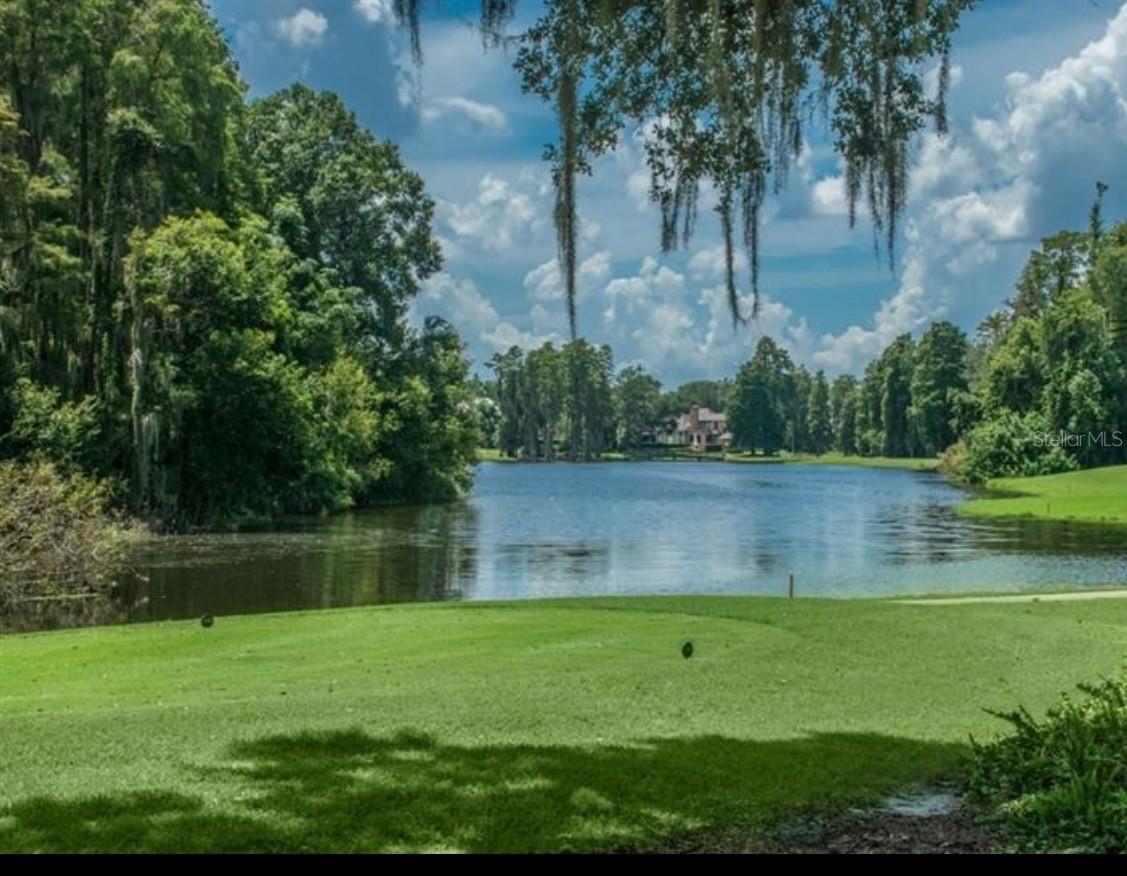16912 VILLALAGOS DE AVILA, LUTZ, FL, 33548