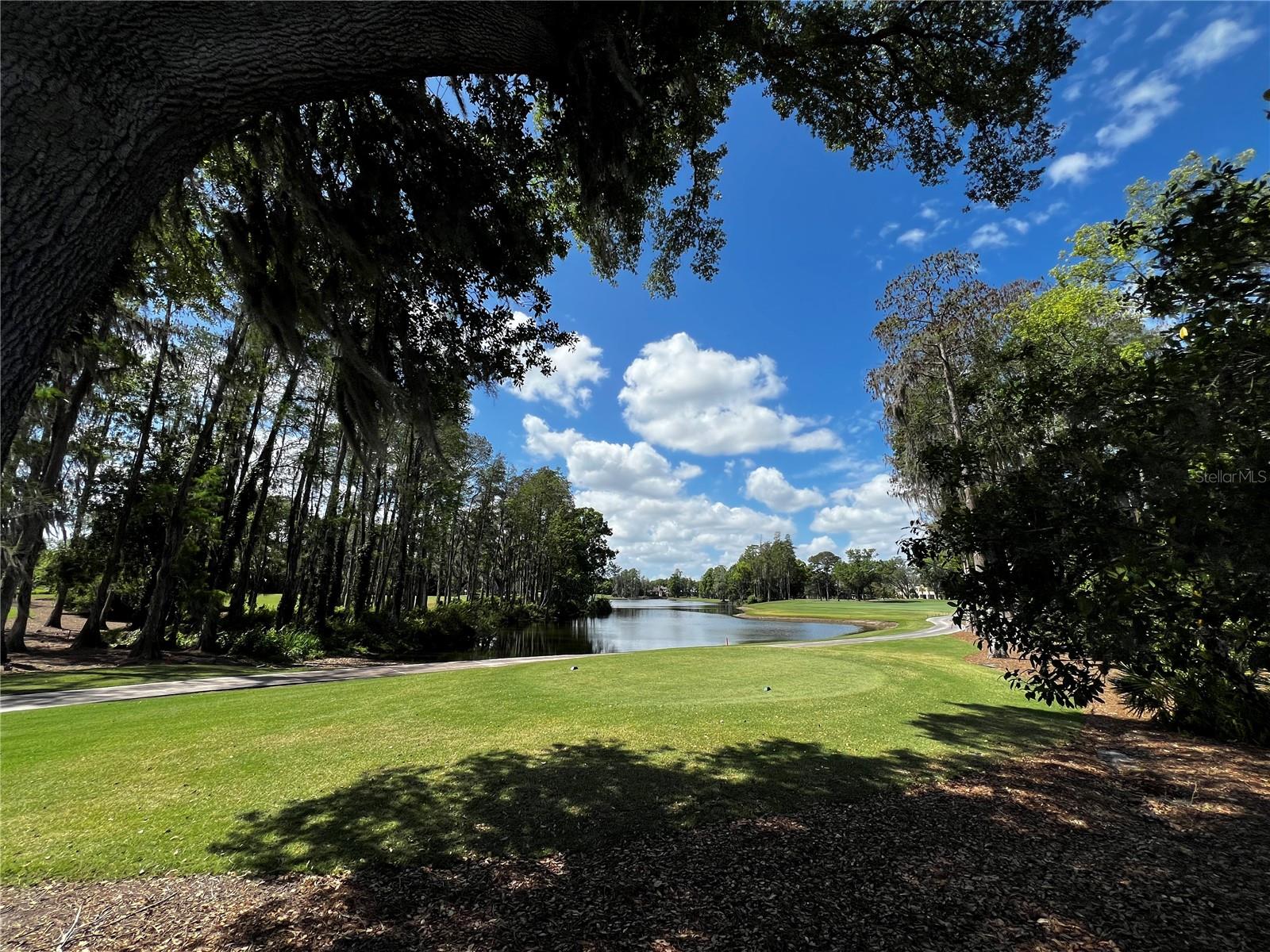 16912 VILLALAGOS DE AVILA, LUTZ, FL, 33548