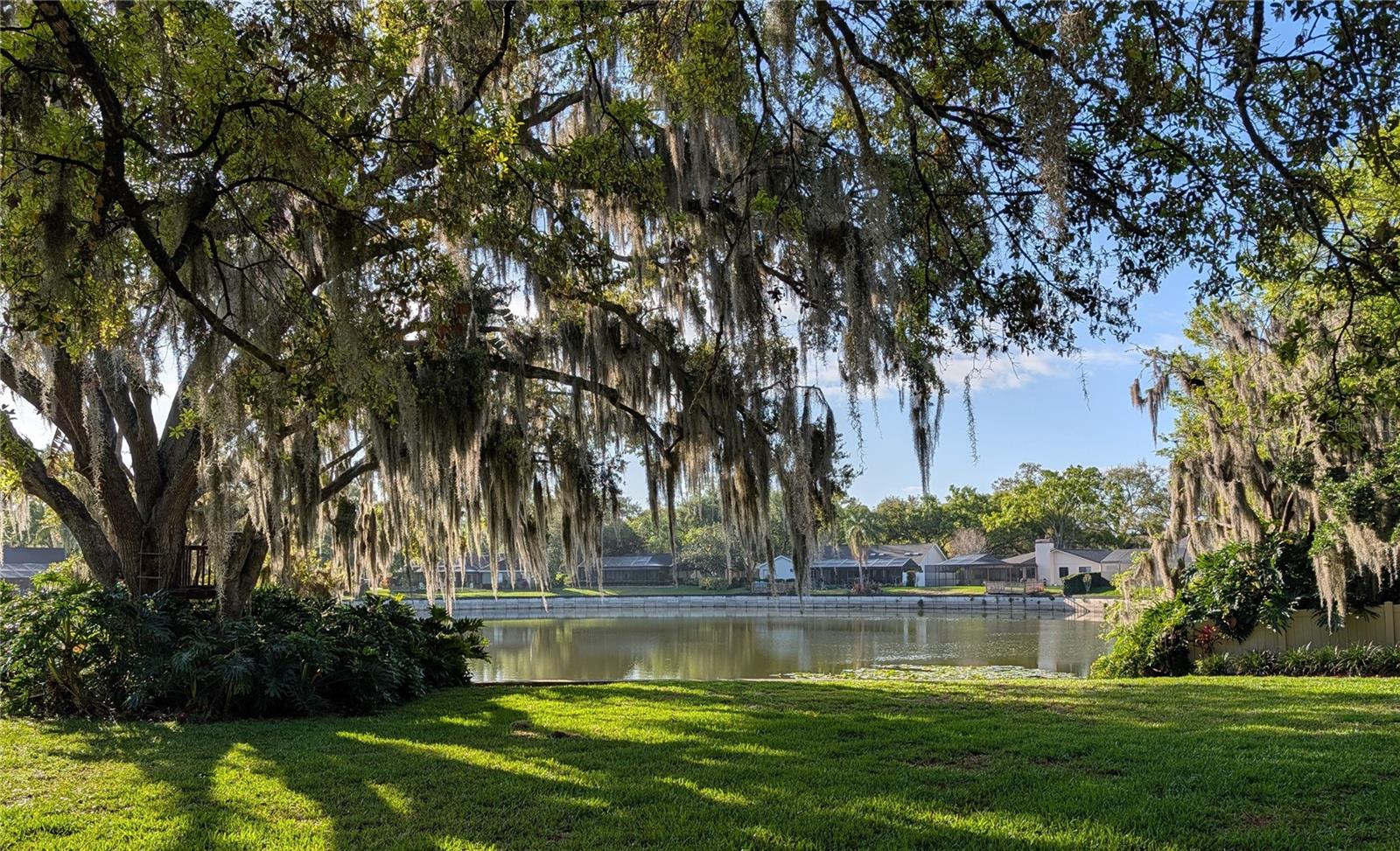1711 MAGDALENE MANOR DR, TAMPA, FL, 33613
