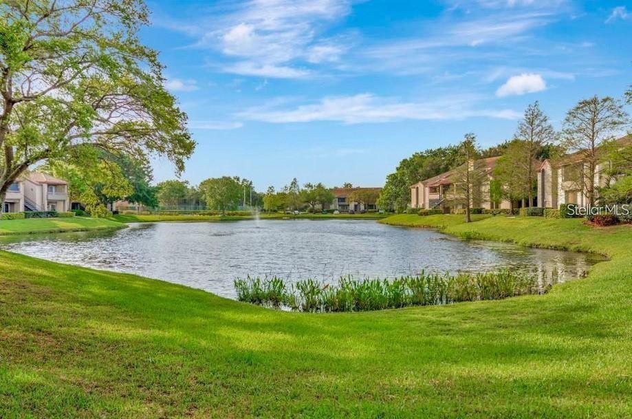 10265 GANDY BLVD N #1707, ST PETERSBURG, FL, 33702