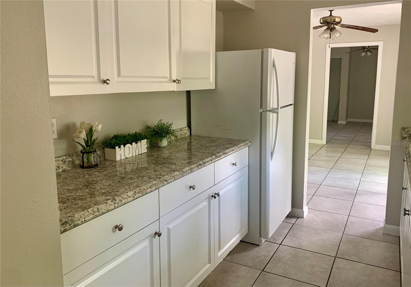 3482 SE 137TH ST, SUMMERFIELD, FL, 34491