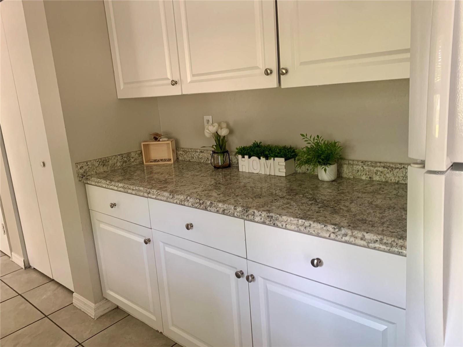 3482 SE 137TH ST, SUMMERFIELD, FL, 34491