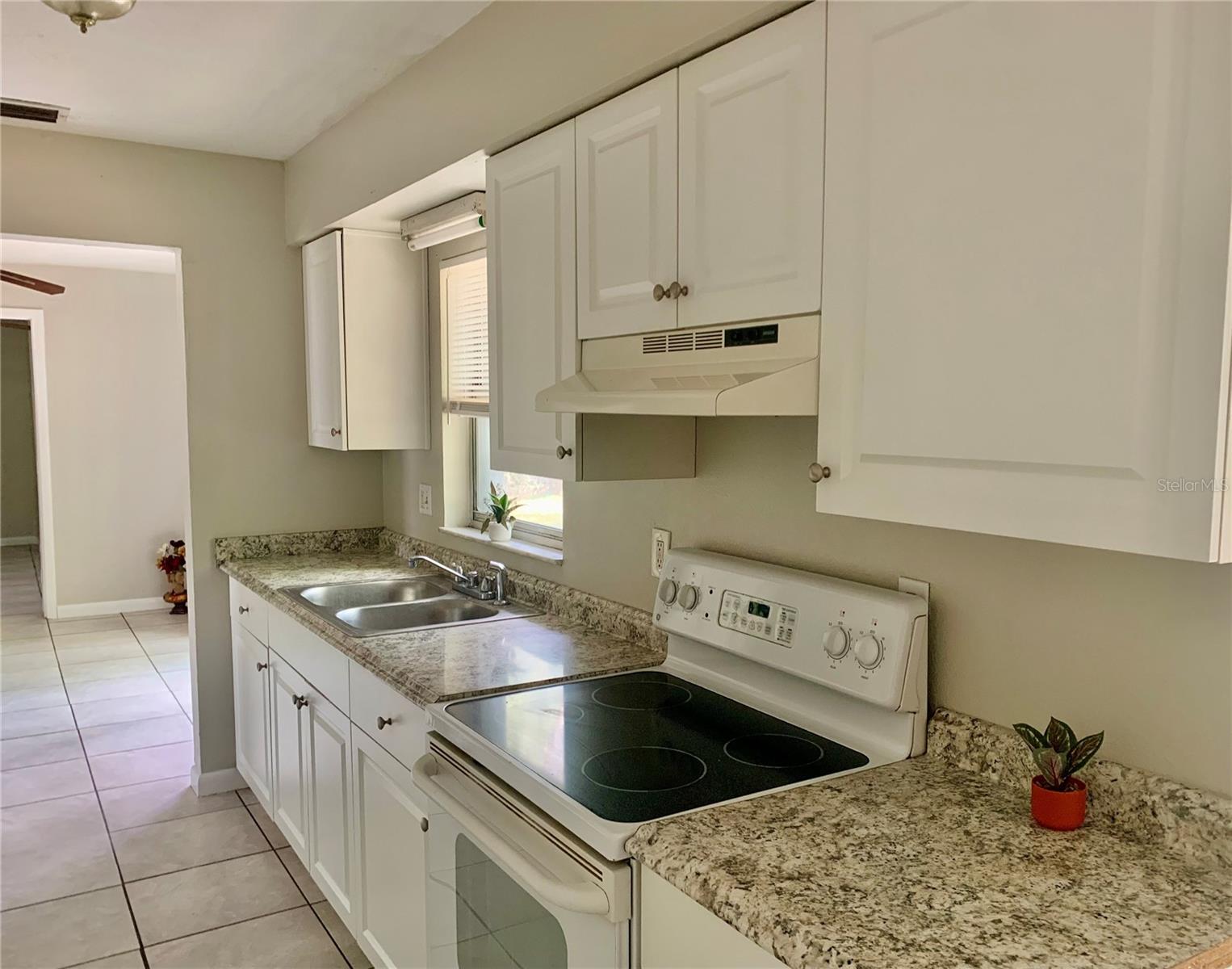 3482 SE 137TH ST, SUMMERFIELD, FL, 34491