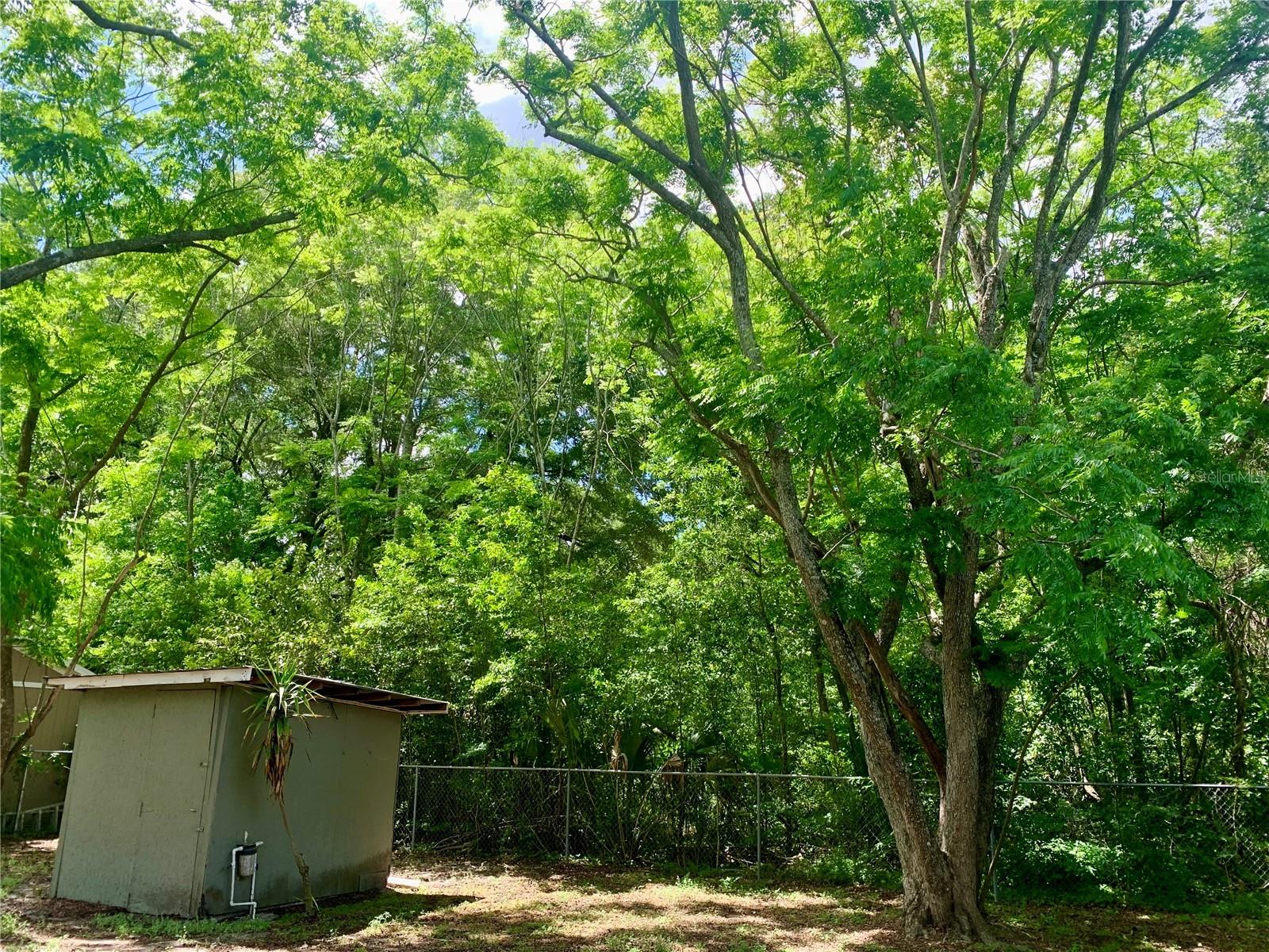 3482 SE 137TH ST, SUMMERFIELD, FL, 34491