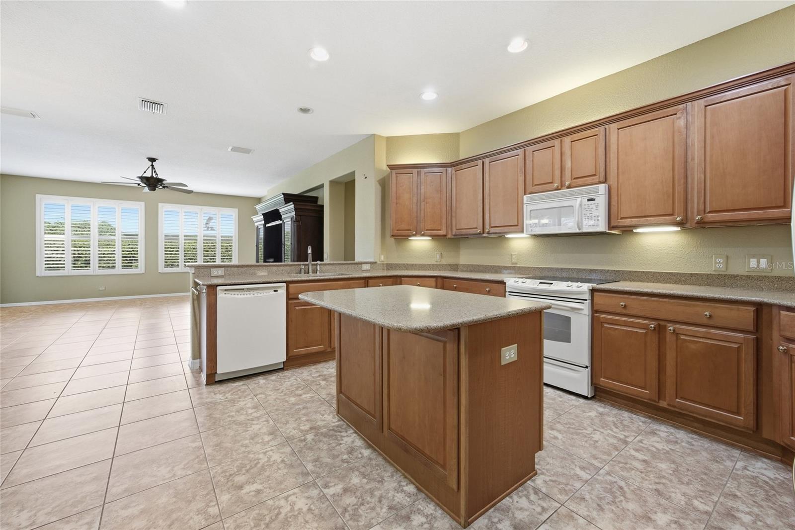 9029 SE 130TH LOOP, SUMMERFIELD, FL, 34491