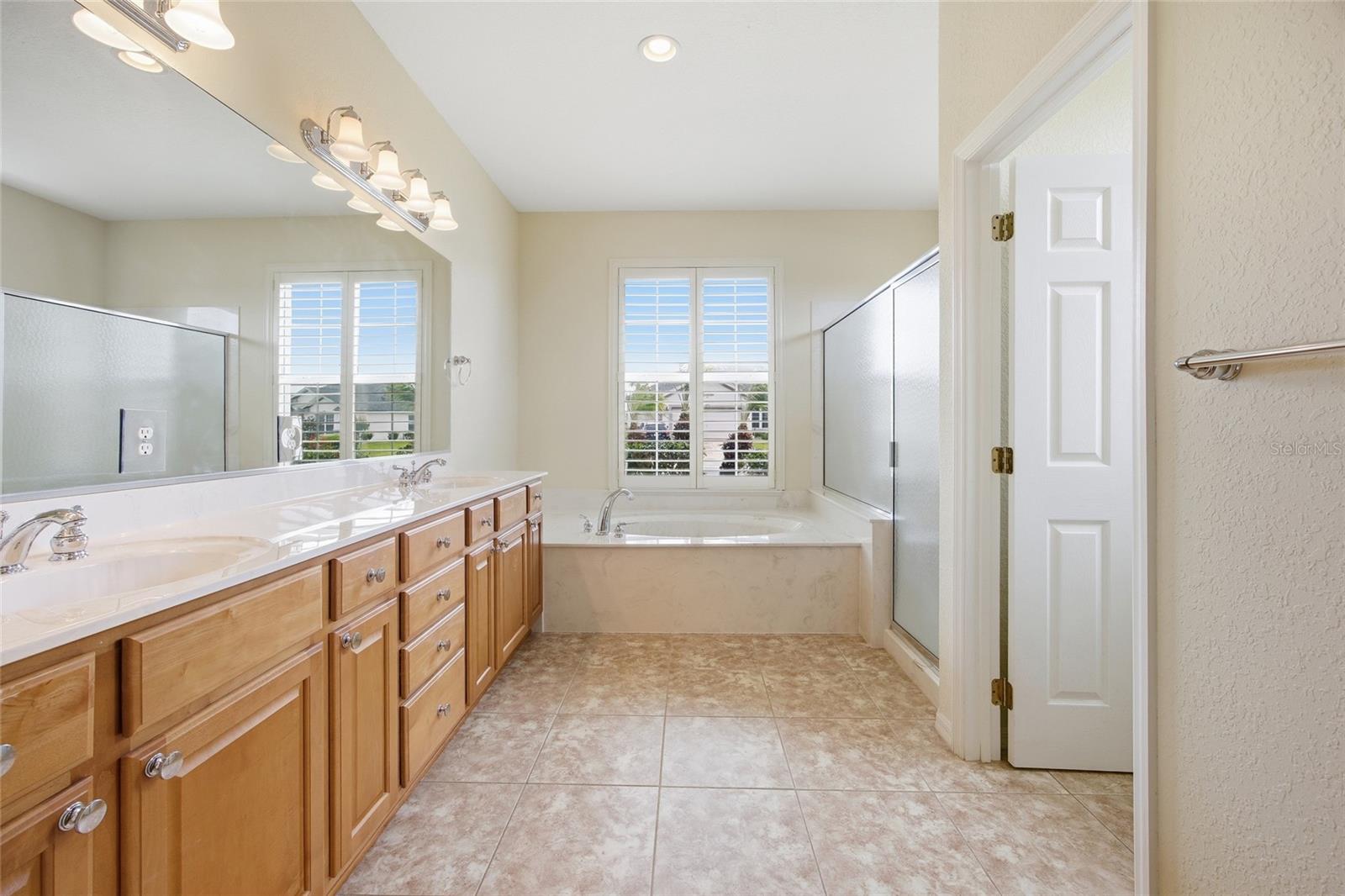 9029 SE 130TH LOOP, SUMMERFIELD, FL, 34491