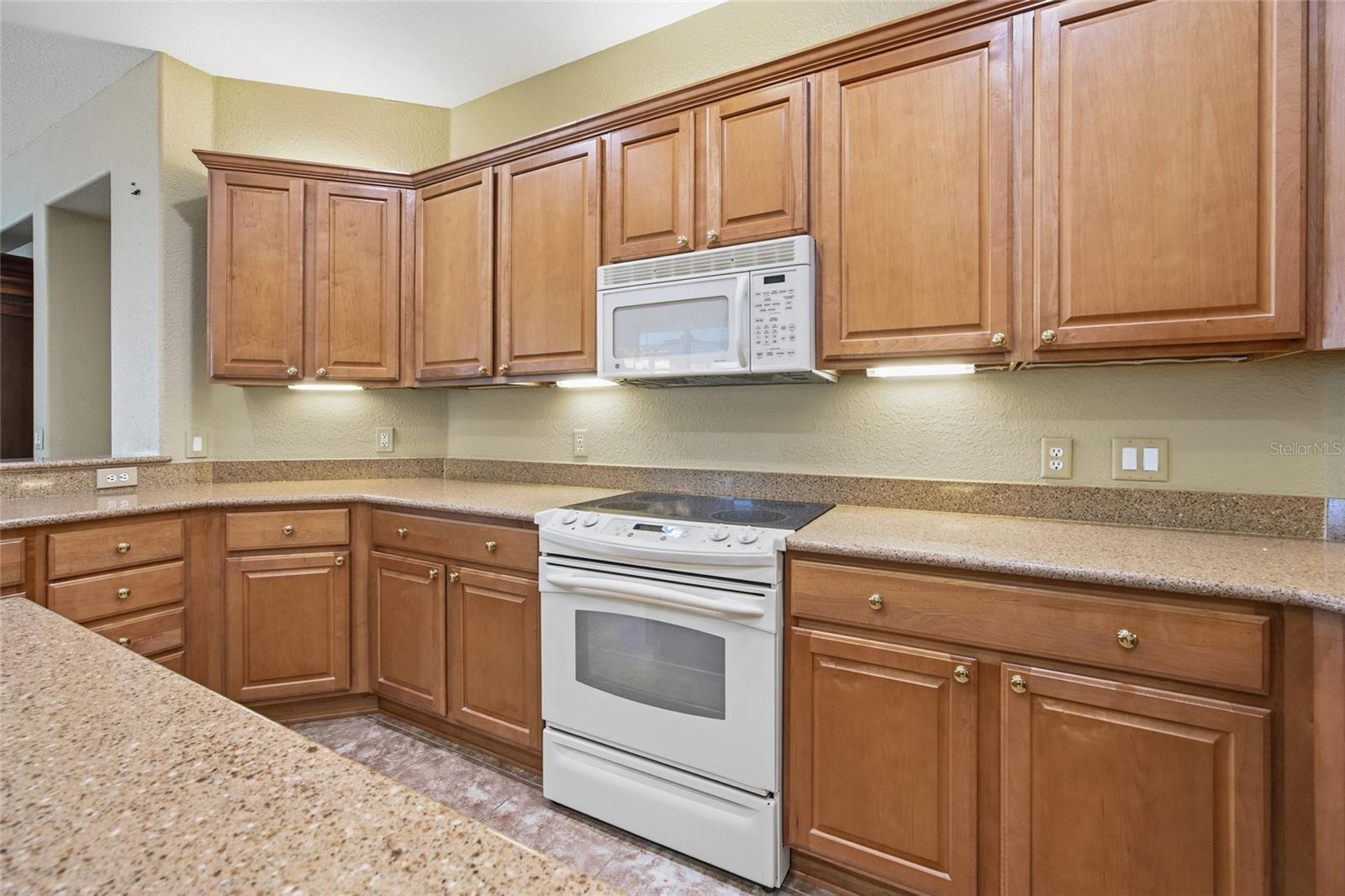 9029 SE 130TH LOOP, SUMMERFIELD, FL, 34491