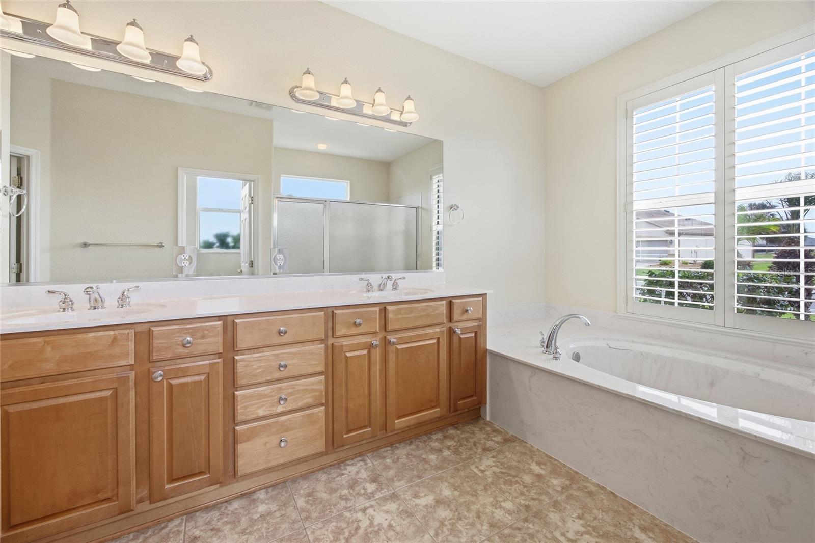 9029 SE 130TH LOOP, SUMMERFIELD, FL, 34491