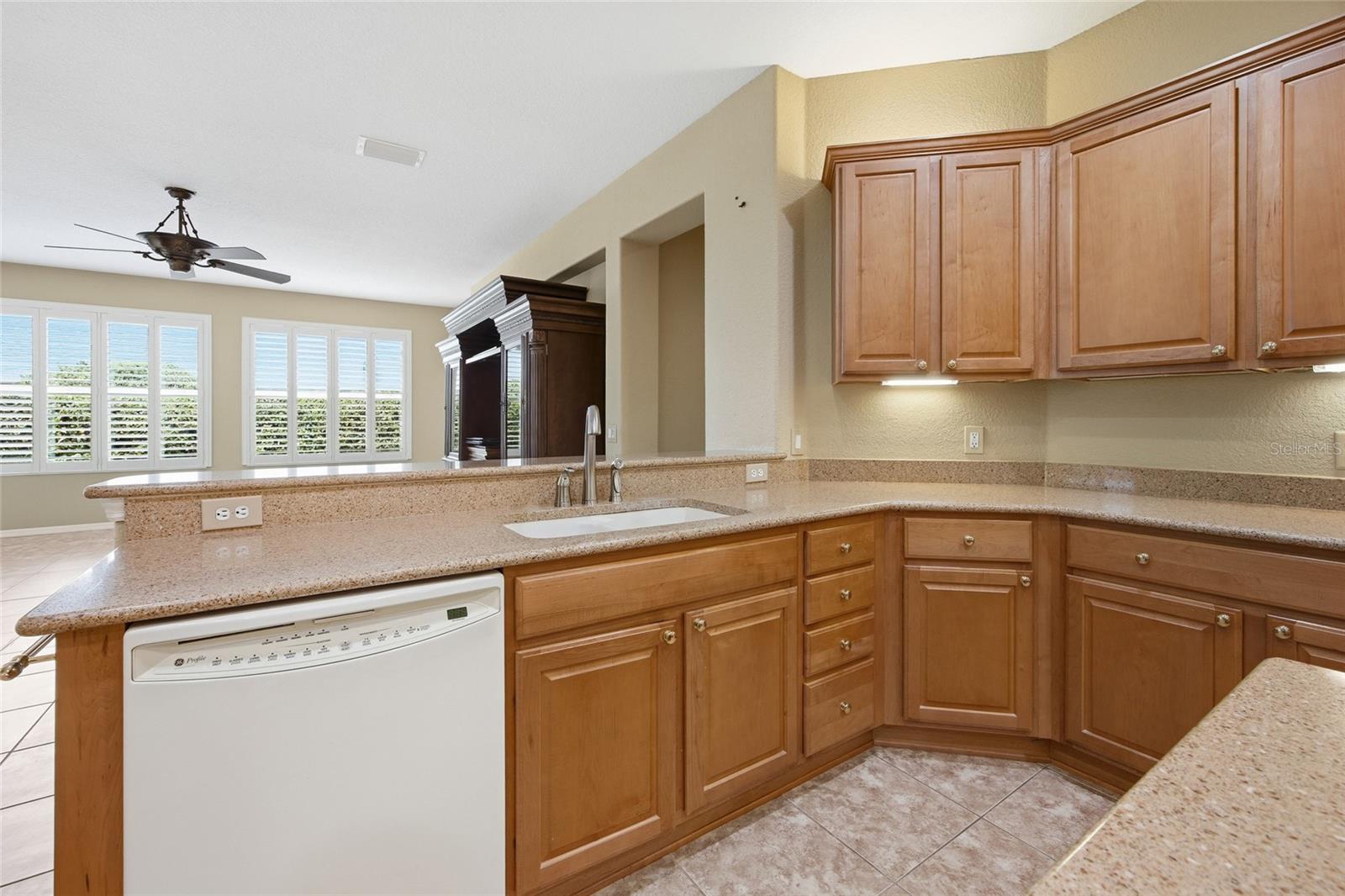 9029 SE 130TH LOOP, SUMMERFIELD, FL, 34491