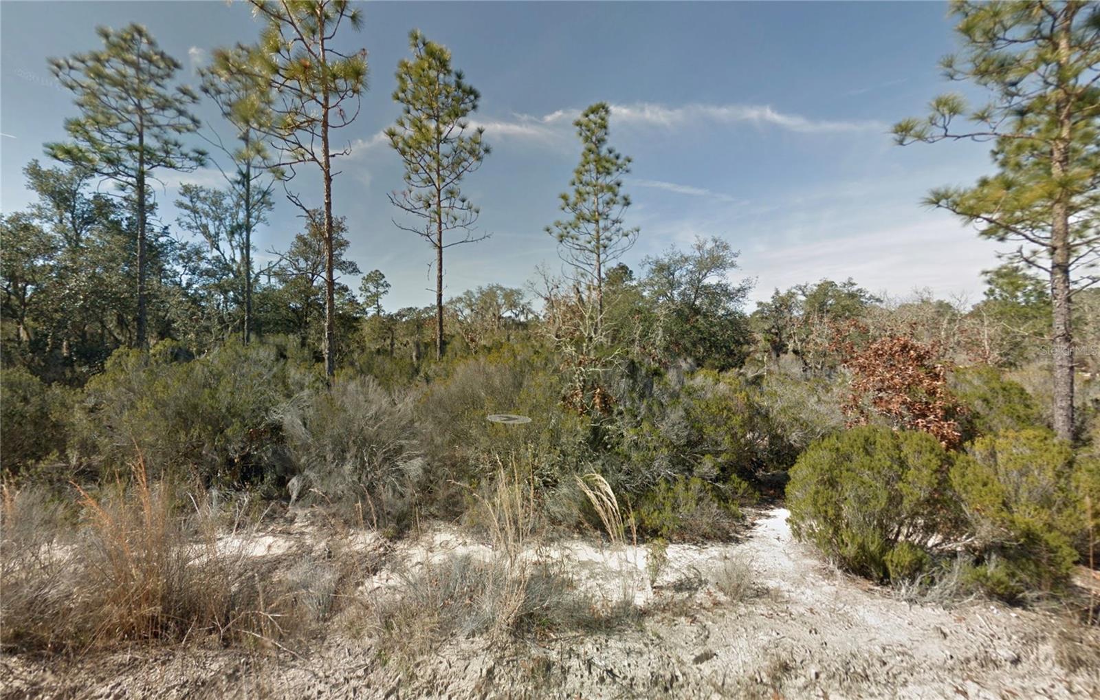 NE 100TH AVE, BRONSON, FL, 32621