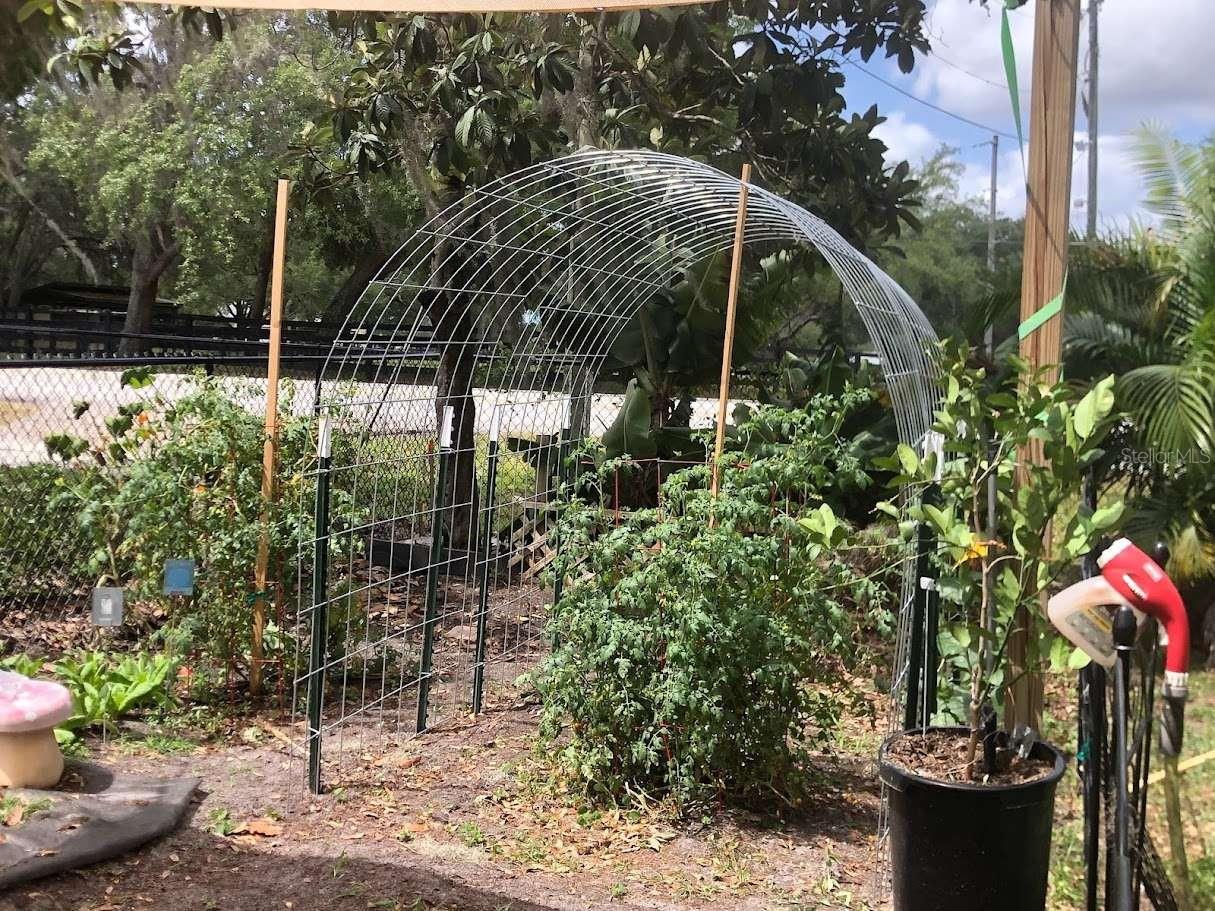 19801 GUNN HWY, ODESSA, FL, 33556