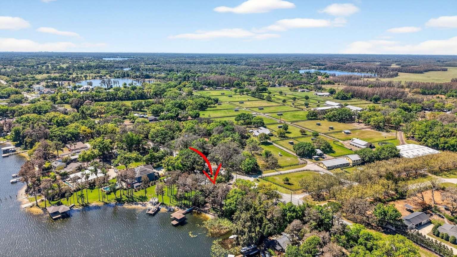 19801 GUNN HWY, ODESSA, FL, 33556