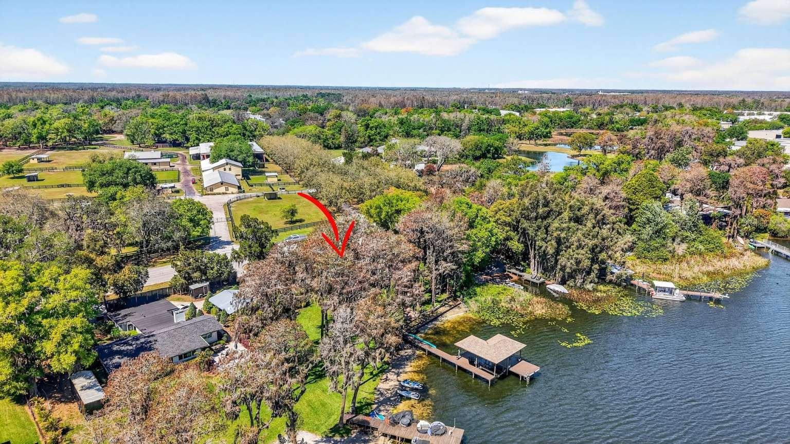 19801 GUNN HWY, ODESSA, FL, 33556