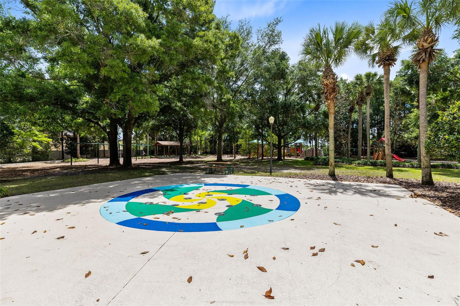 30139 HACKNEY LOOP, MOUNT DORA, FL, 32757