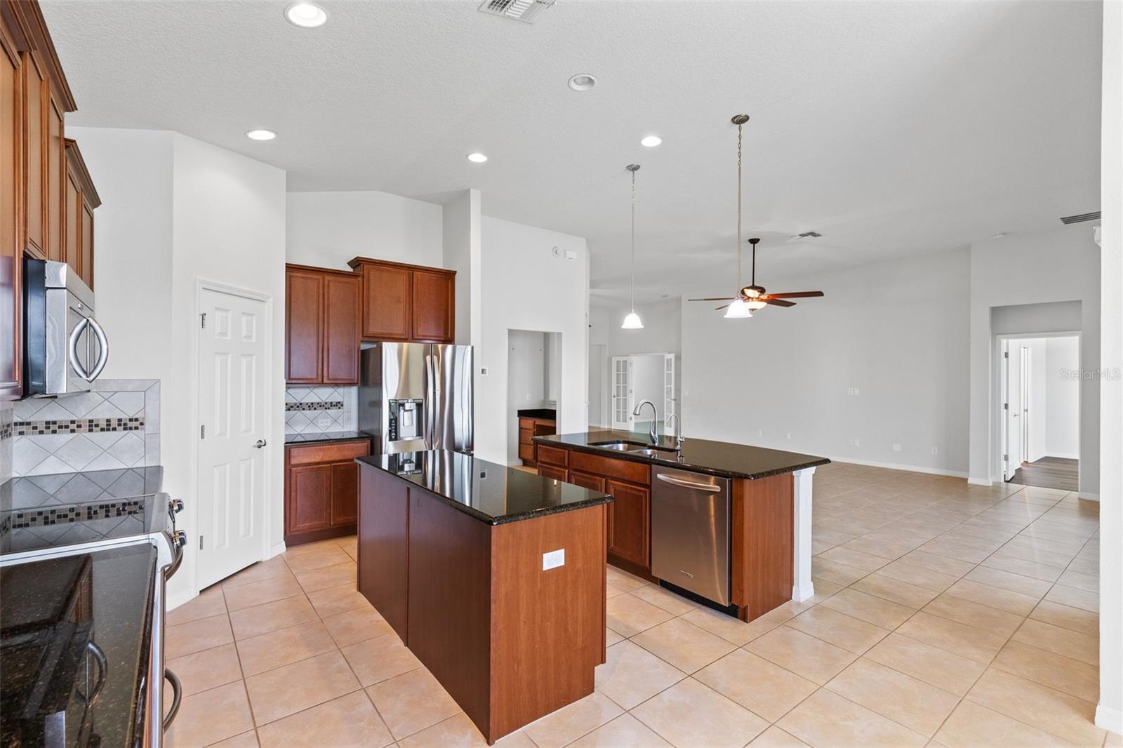 30139 HACKNEY LOOP, MOUNT DORA, FL, 32757