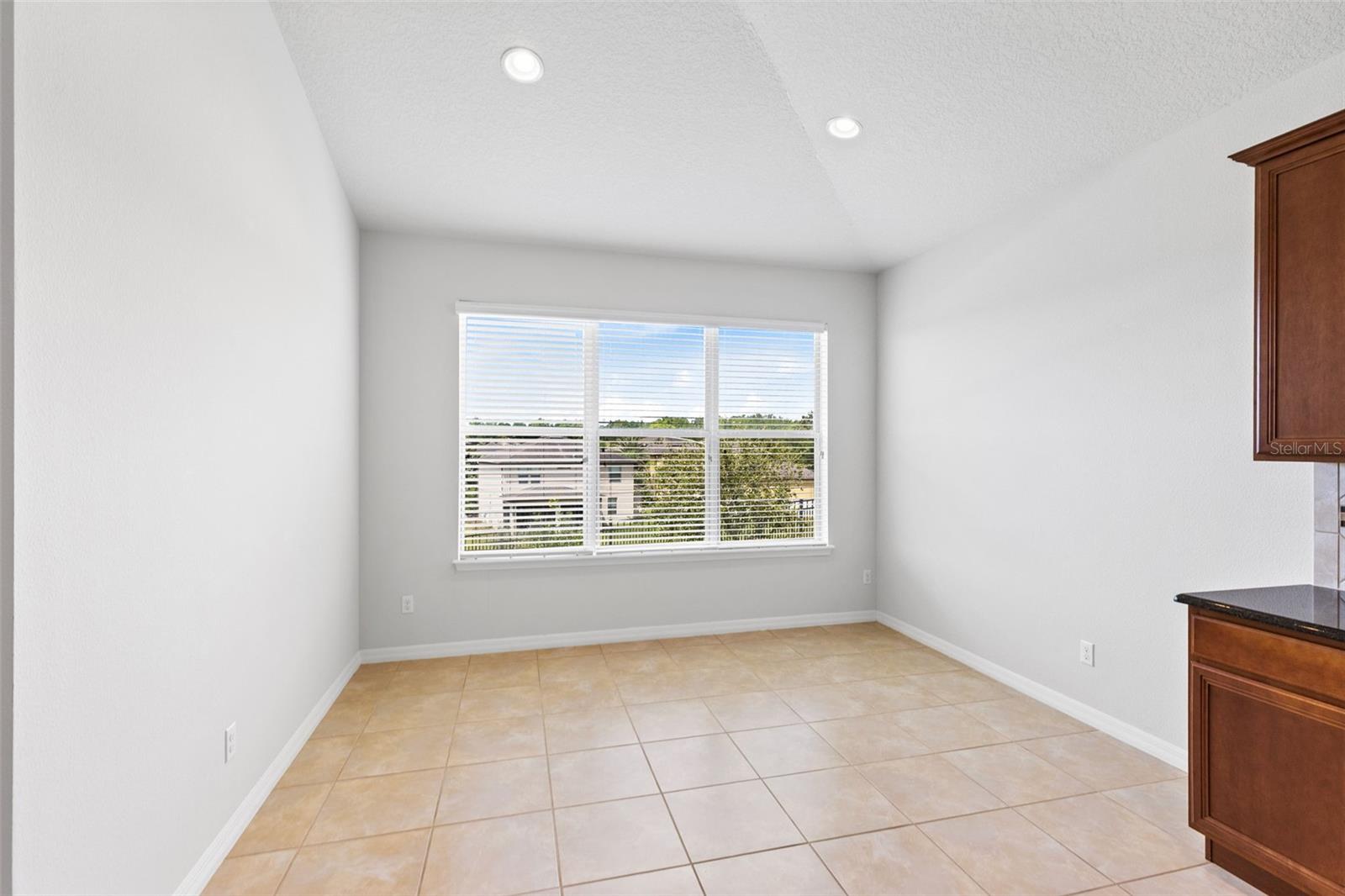 30139 HACKNEY LOOP, MOUNT DORA, FL, 32757