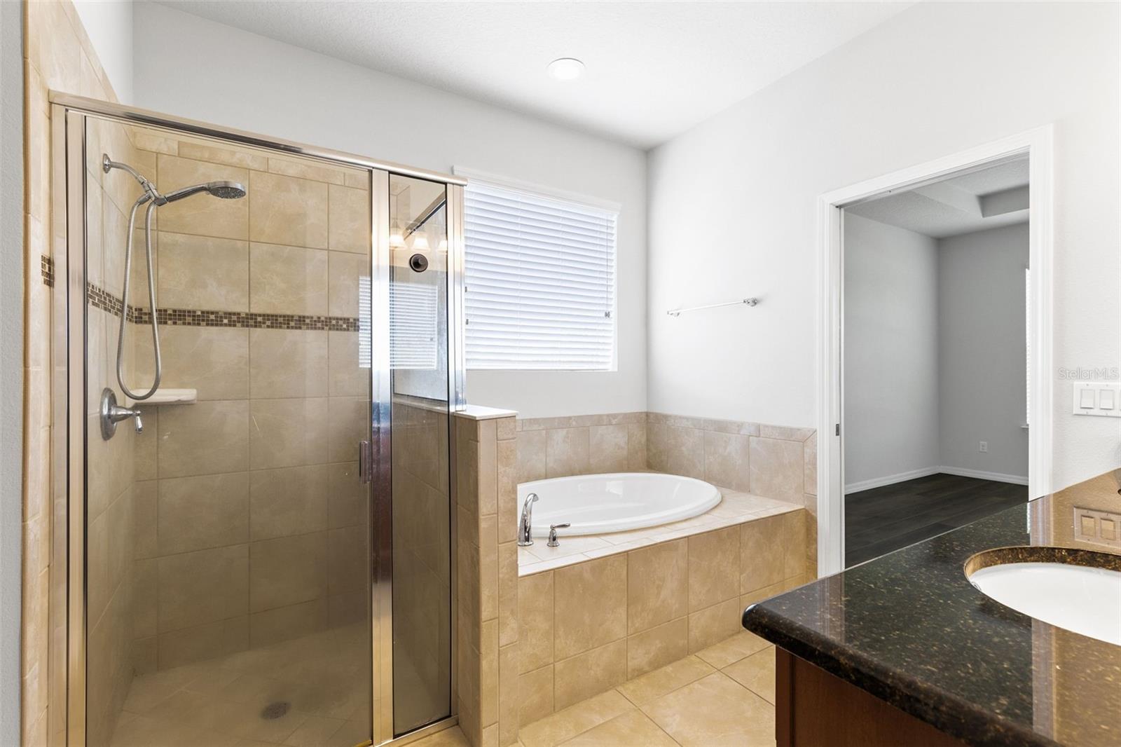 30139 HACKNEY LOOP, MOUNT DORA, FL, 32757