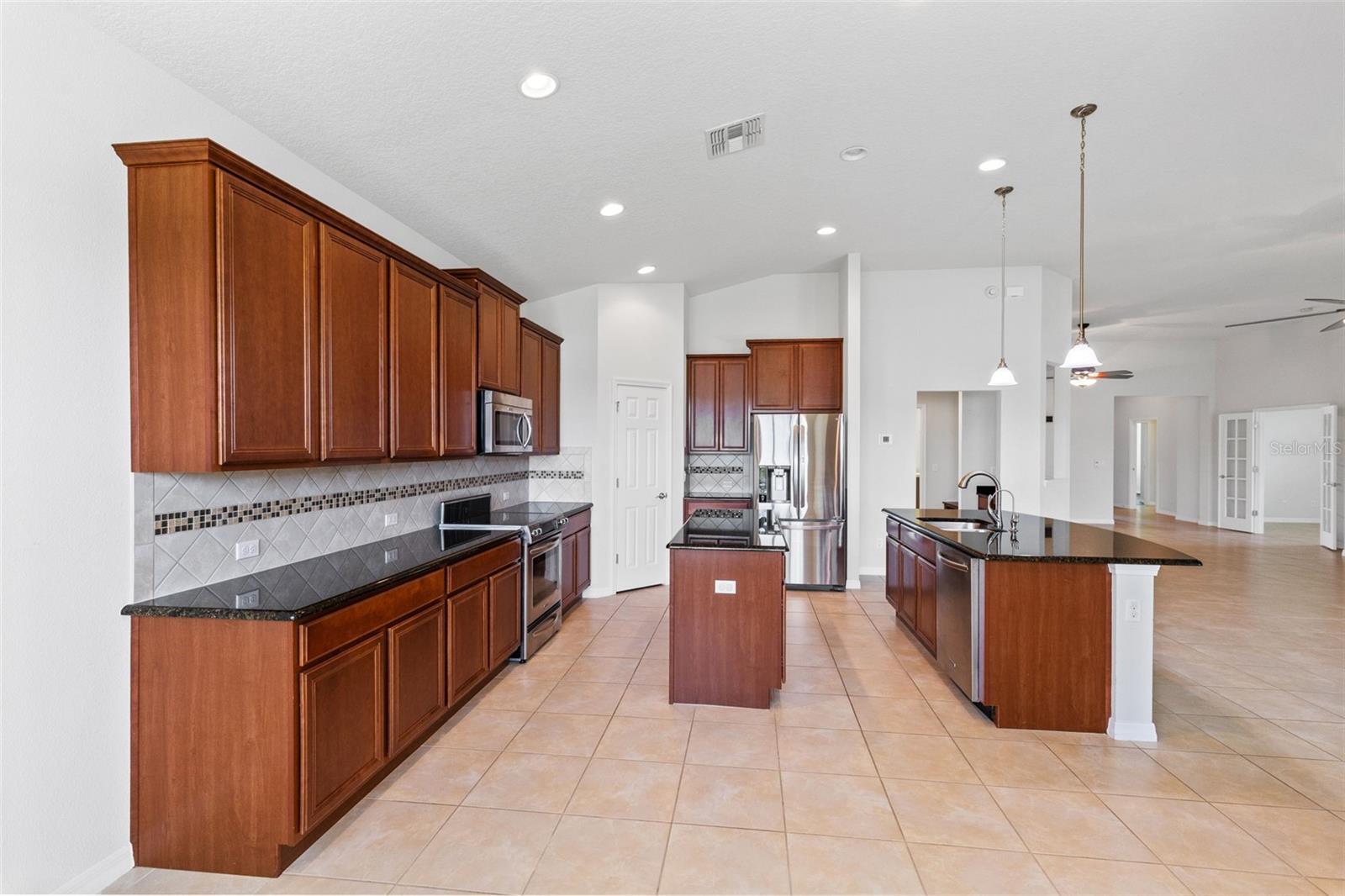 30139 HACKNEY LOOP, MOUNT DORA, FL, 32757