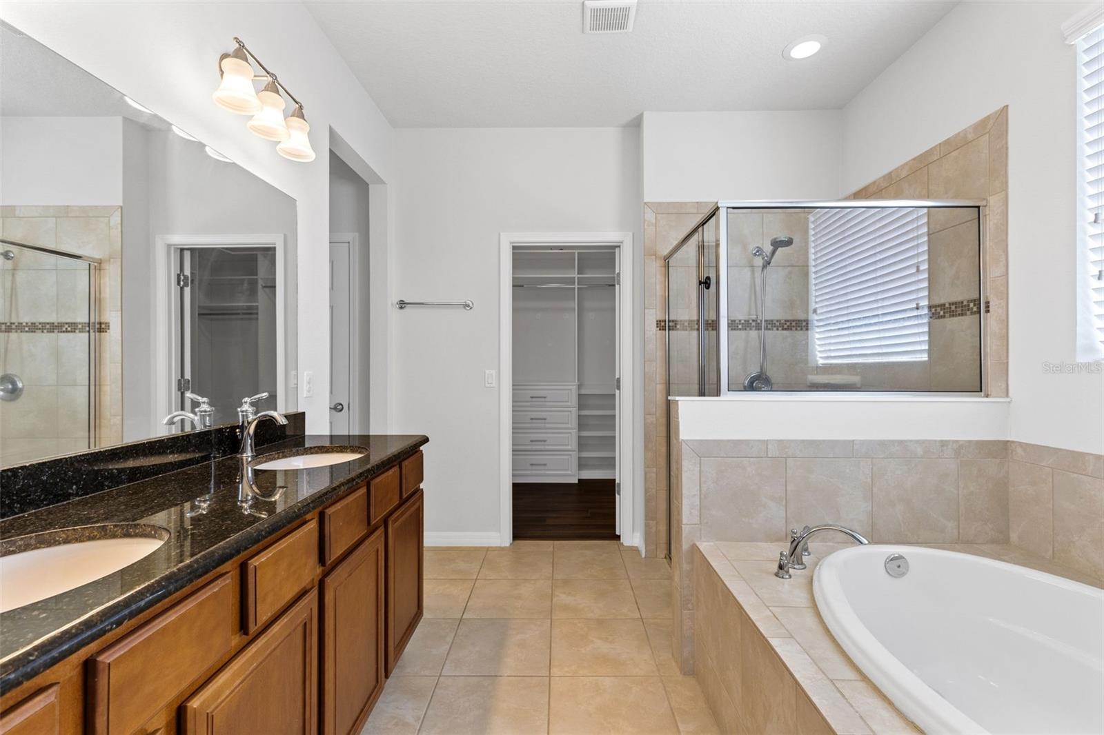 30139 HACKNEY LOOP, MOUNT DORA, FL, 32757