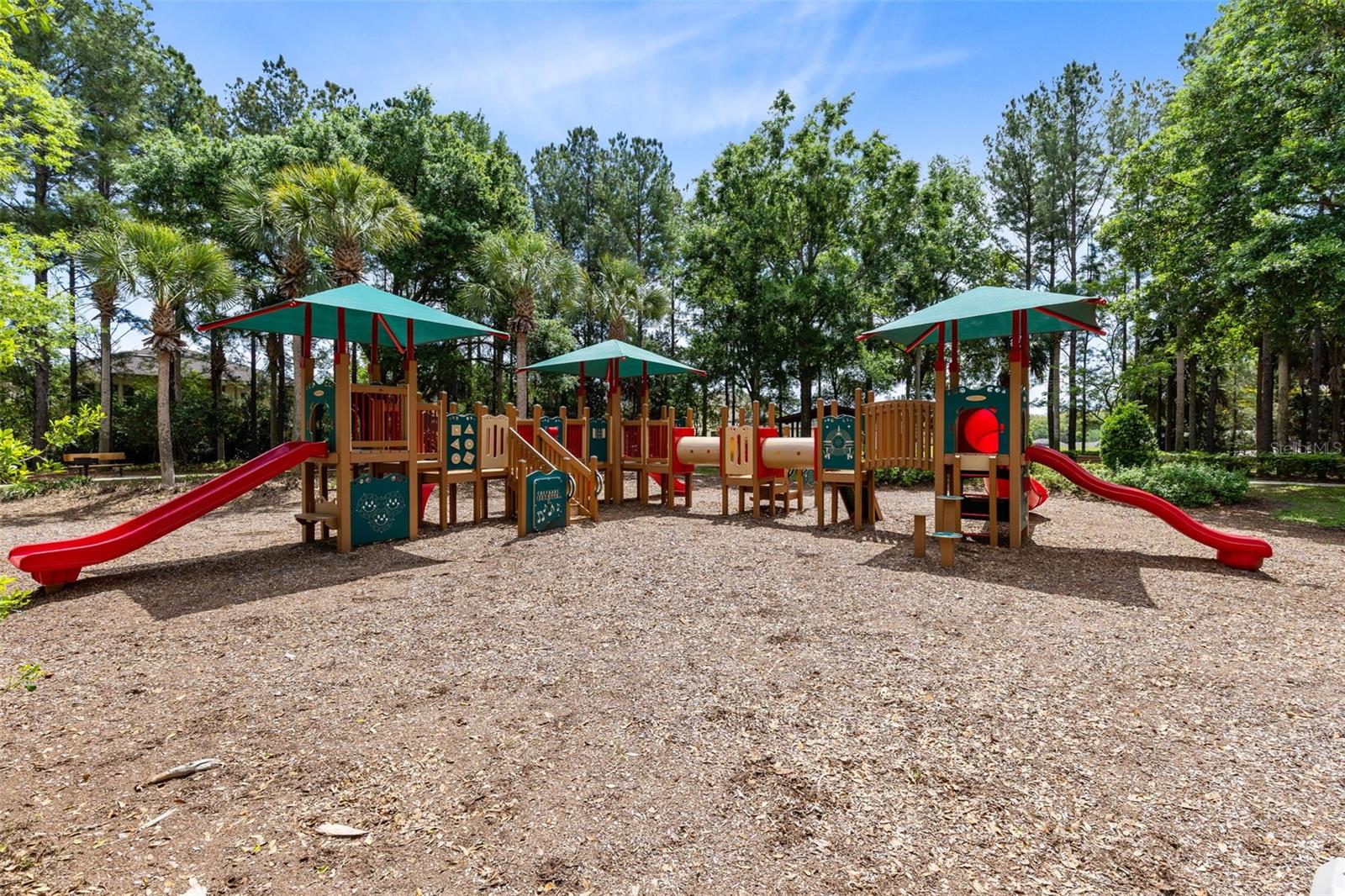 30139 HACKNEY LOOP, MOUNT DORA, FL, 32757