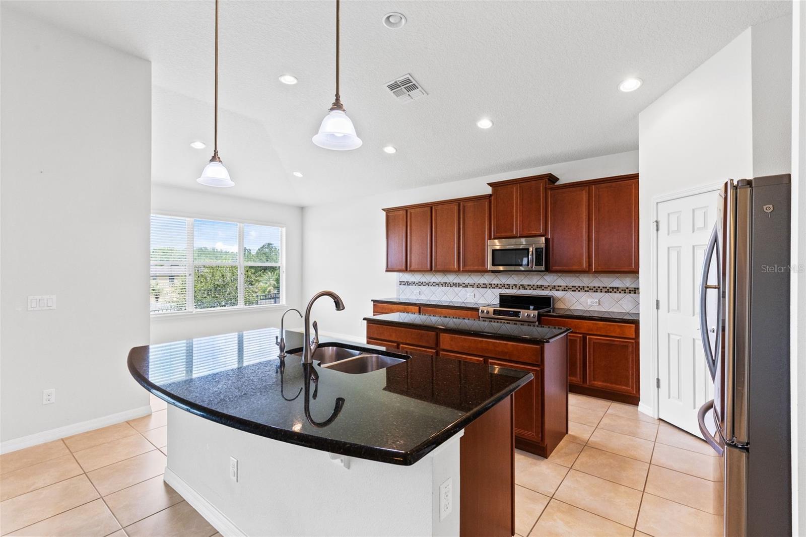 30139 HACKNEY LOOP, MOUNT DORA, FL, 32757