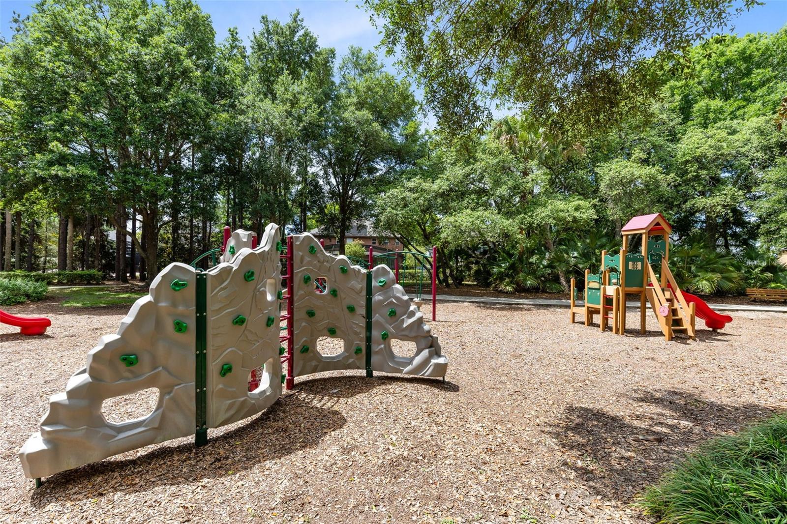 30139 HACKNEY LOOP, MOUNT DORA, FL, 32757