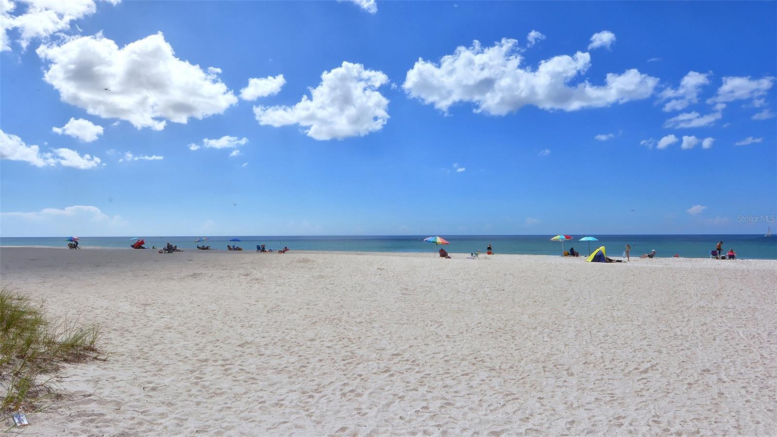 6166 WINDING PINE DR, NOKOMIS, FL, 34275