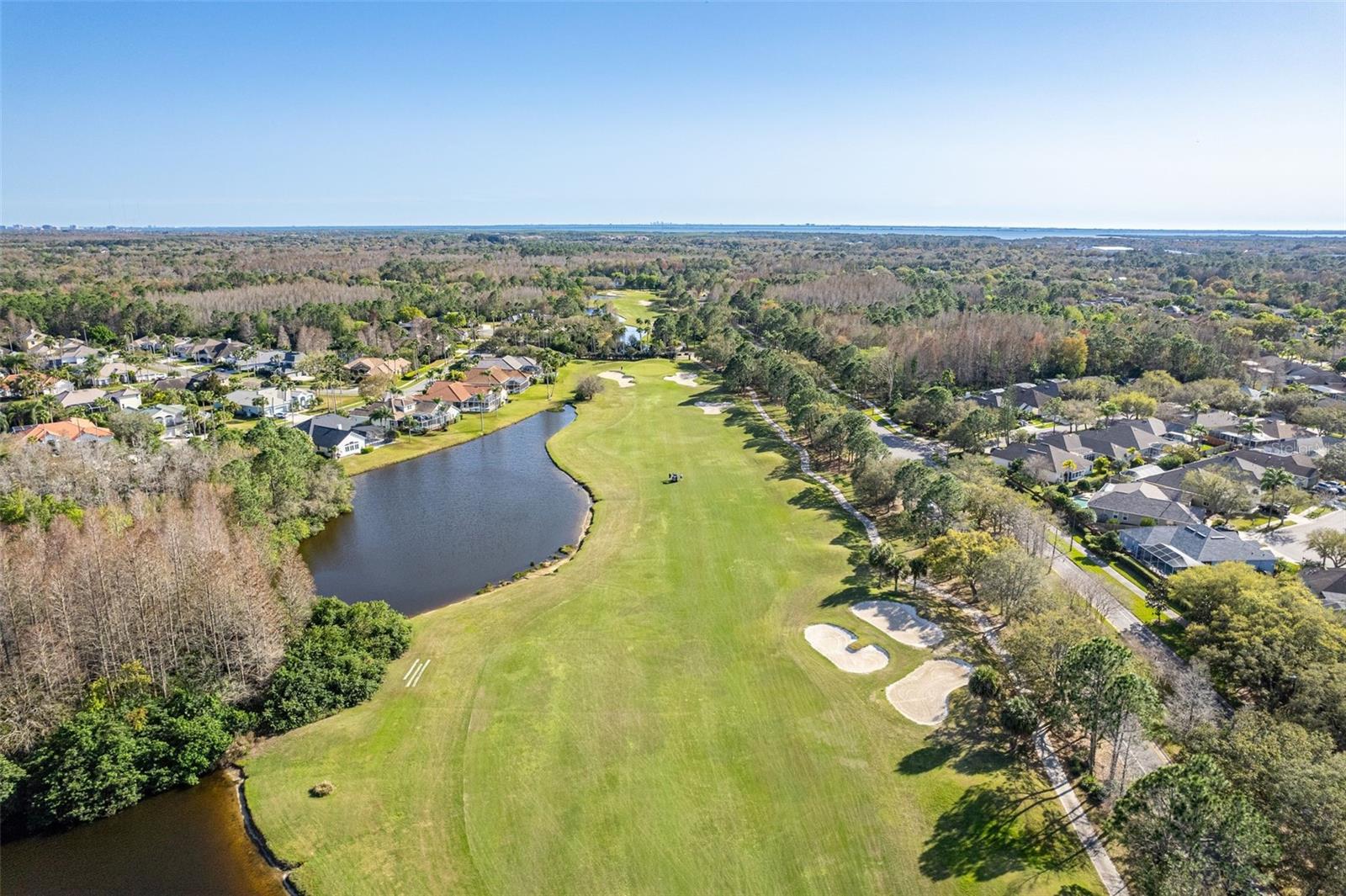 10245 WOODFORD BRIDGE ST, TAMPA, FL, 33626