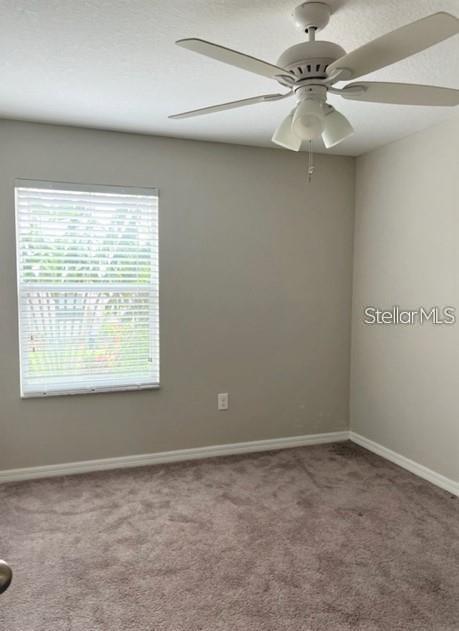 10643 LAKE MONTAUK DR, RIVERVIEW, FL, 33578