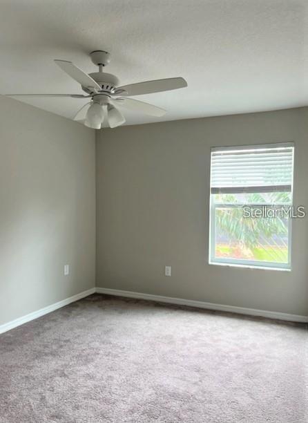 10643 LAKE MONTAUK DR, RIVERVIEW, FL, 33578