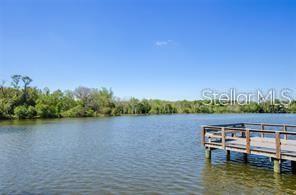 10643 LAKE MONTAUK DR, RIVERVIEW, FL, 33578