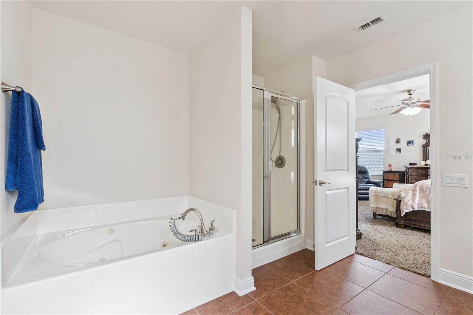 3135 PIZZARO PL, CLERMONT, FL, 34715