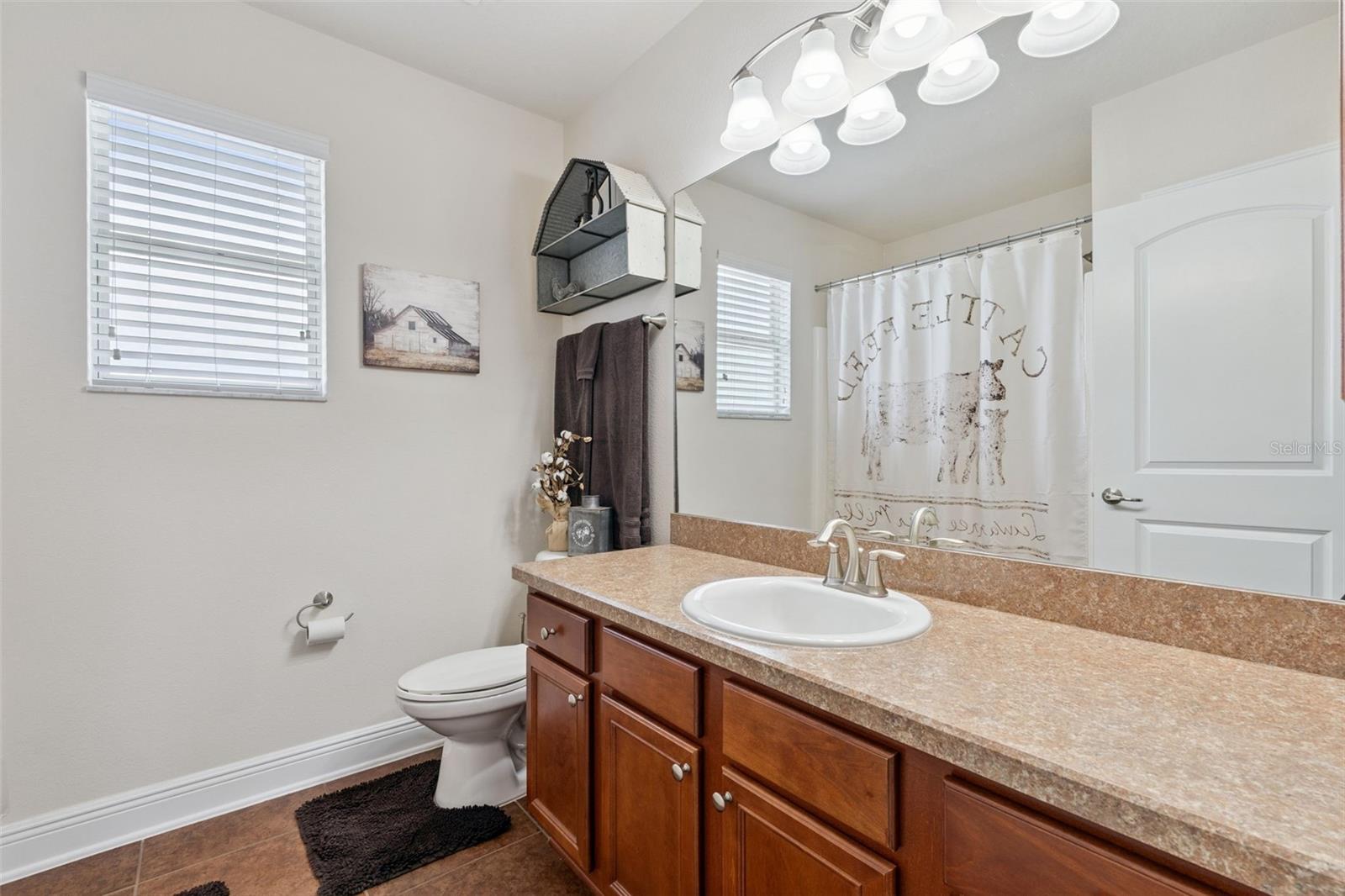 3135 PIZZARO PL, CLERMONT, FL, 34715