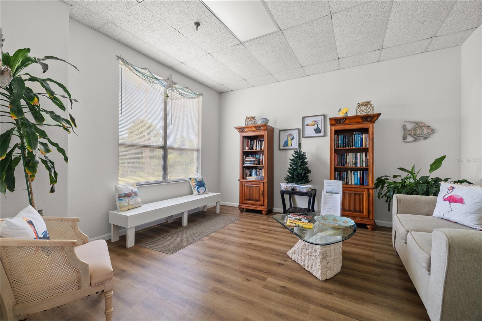 Beautiful sunlit library and sitting room