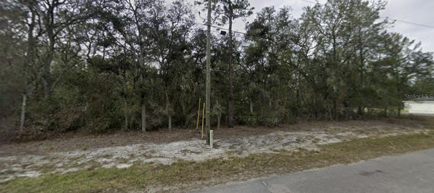TBD SE FISHER WAY PL, OCKLAWAHA, FL, 32179