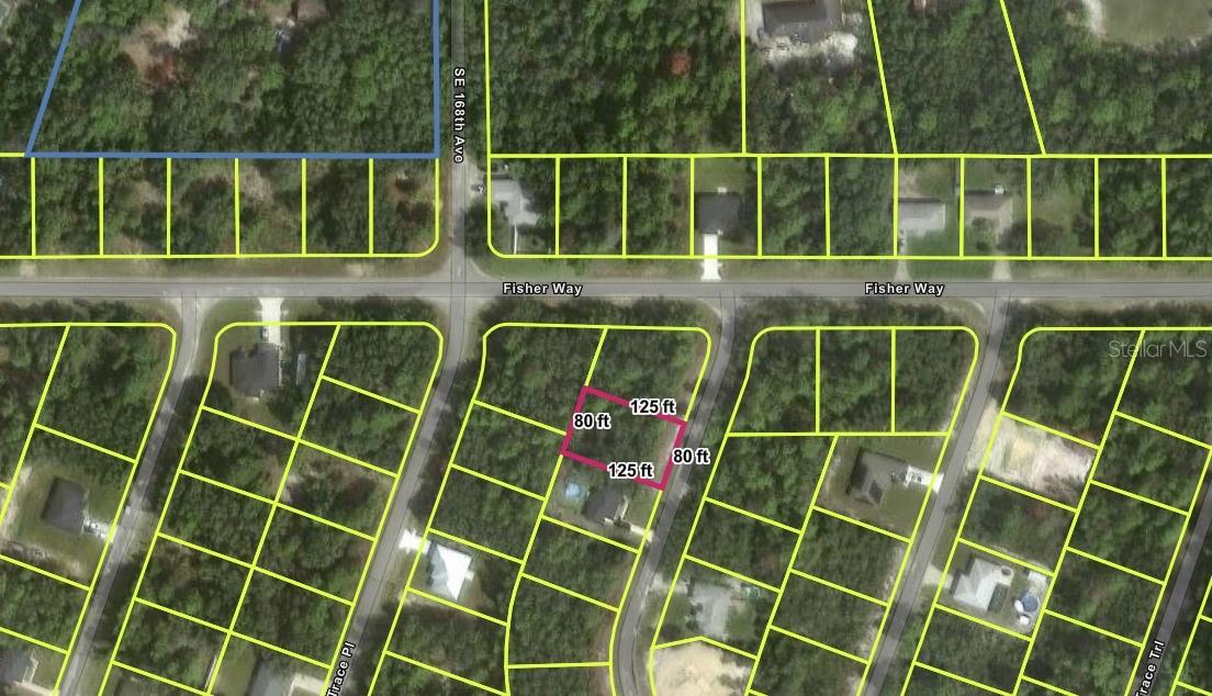 TBD SE FISHER WAY PL, OCKLAWAHA, FL, 32179