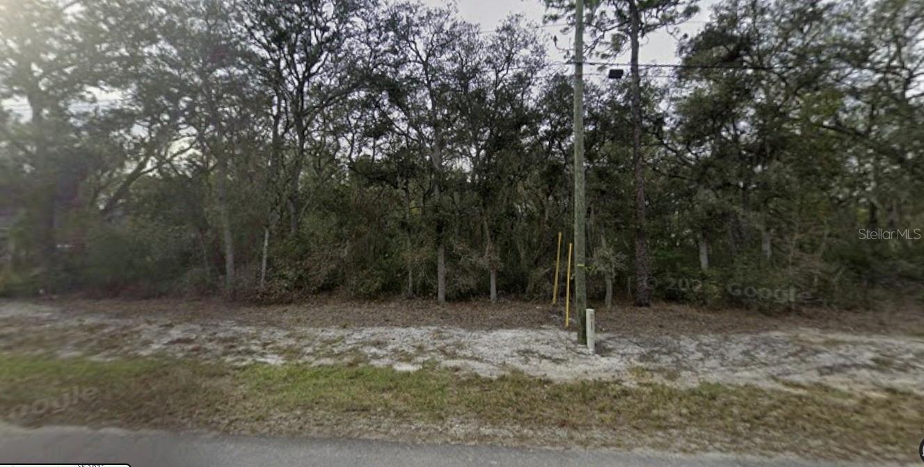 TBD SE FISHER WAY PL, OCKLAWAHA, FL, 32179