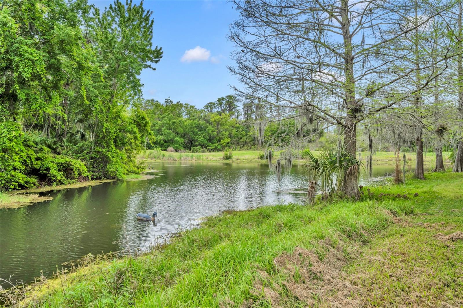 13568 DORNOCH DR, ORLANDO, FL, 32828