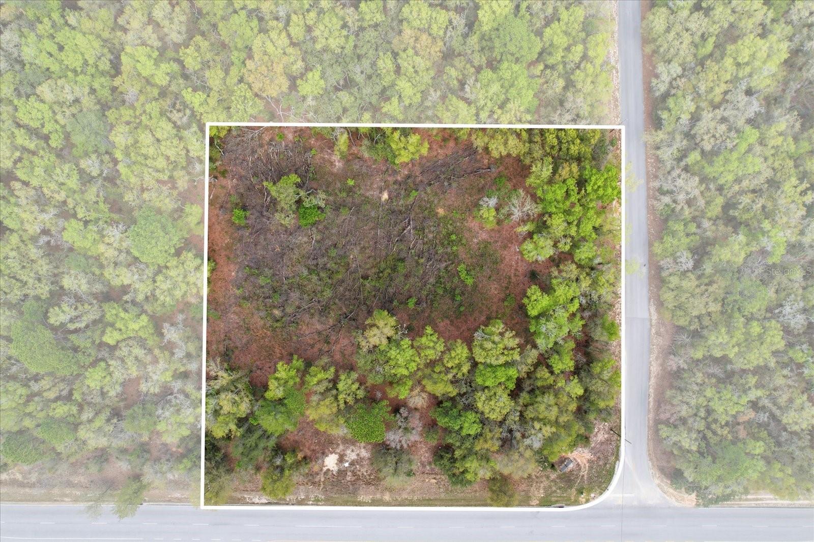 161 W NORVELL BRYANT HWY, HERNANDO, FL, 34442