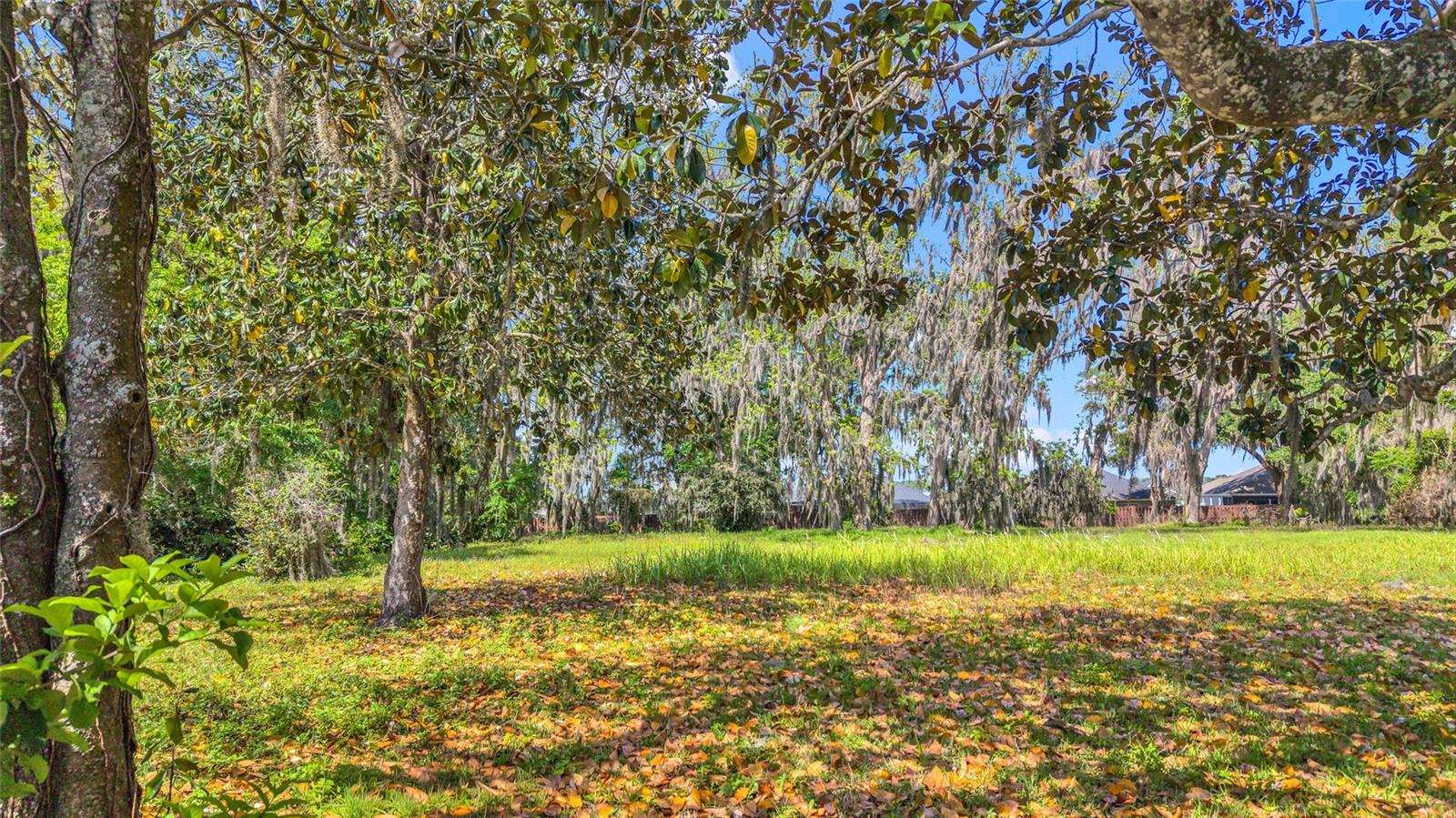 11338 N US HIGHWAY 301, OXFORD, FL, 34484