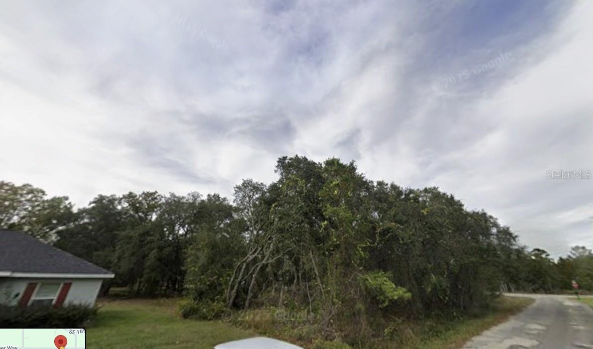 TBD FISHER WAY, OCKLAWAHA, FL, 32179