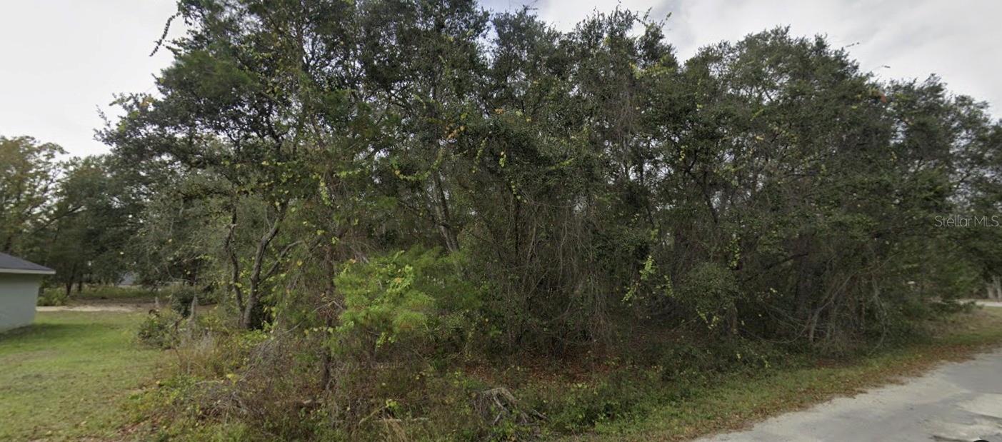 TBD FISHER WAY, OCKLAWAHA, FL, 32179