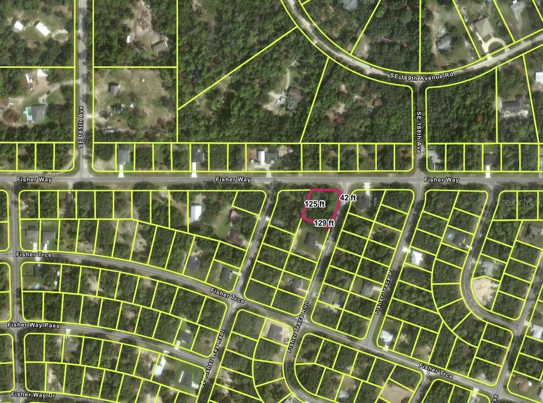 TBD FISHER WAY, OCKLAWAHA, FL, 32179